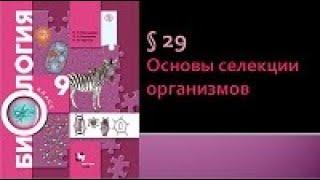 Биология 9 класс. Основы селекции организмов