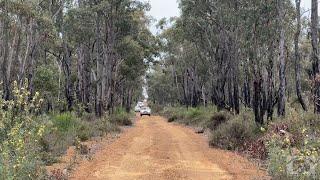 Eastern Edge of the Wandoo Woodlands