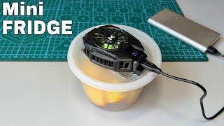 How to Make a Mini Fridge at Home - Travel Refrigerator - Miniatire Car Fridge Powered by USB