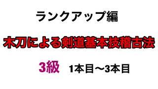 【こころ】木刀による剣道基本技稽古法　3級