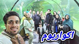 رفتیم دیدن ماهی های رنگارنگ و موزیوم صدف ها