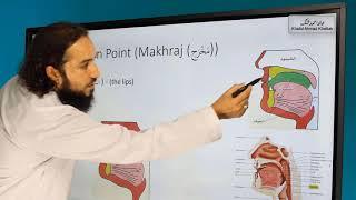 2 - Articulation Point (Makhraj) of Baa (2nd letter of Arabic Alphabet)