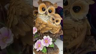 Garden Owl #cute #shorts