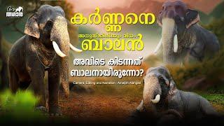 Ambady Balan | Kerala Elephant | Aanatthaara Episodes | ആമ്പാടി ബാലൻ