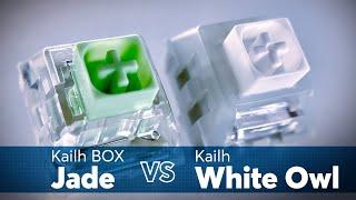 Kailh BOX Jade VS Kailh White Owl Sound Test | Battle of the Titans!