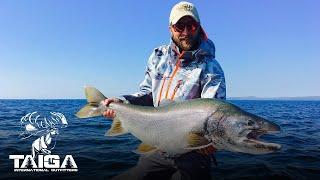 Giant Lake Trout in the NWT!