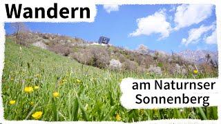 Wandern am Naturnser Sonnenberg | Naturns-Unterstell-Grubhof-Naturns