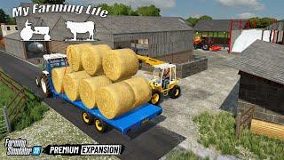 Clearing fields & Tire kicking | MY FARMING LIFE on The Northern Farms | Farming Simulator 22 - #5