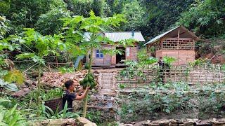 Care for and harvest vegetables in the garden. Build dikes to prevent rain and landslides.