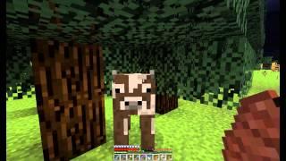 Minecraft №17-Планы