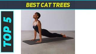 Top 5 Best Cat Trees 2023