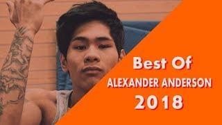 Best Of Tricking _ Alexander Anderson 2018