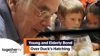 Ducklings Hatching Brings Hamish Out of His Shell | Old People's Home For 4 Year Olds