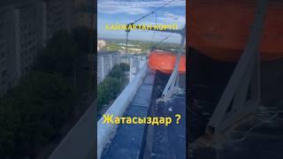 МИГРАНТА жургондор БААРБЫ ?#кыргызстан #мигрантлар #бишкек #мигрантывроссии #мигранттар