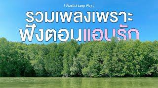 รวมเพลงเพราะ ฟังตอนแอบรัก  [ Playlist Long Play ]