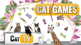 CAT Games | Ultimate Cat TV Compilation Vol 54 | 2 HOURS 