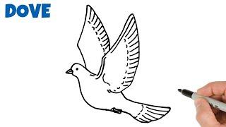 How to Draw a Dove Easy | Animals Drawings