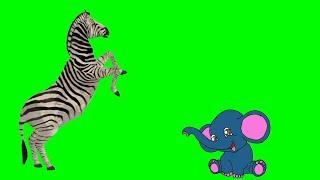 Green screen animasi zebra dan gajah keren