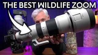 Sony 400-800mm G f/6.3-8 Review: Best Wildlife Zoom EVER!