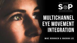 MEMI - Multichannel Eye Movement Integration.