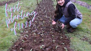 RAIN OR SHINE: time to plant hardy annuals + check on winter sowing milk jugs (Season 2 Episode 4)