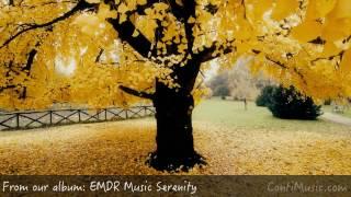 EMDR Therapy Session - Dissociation PTSD Therapy - Music For The Here And Now to Relax