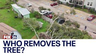 Seabrook apartment residents in standstill: Who will remove fallen tree impacting power lines?