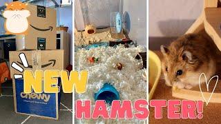 Getting a new hamster!!! | supply unboxing and cage setup 