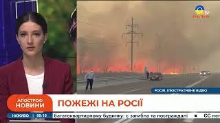 ПОЖЕЖА НА РОСІЇ: що знову палає на болотах?