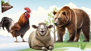 Watch and Listen to Incredible Animal Videos: Rooster, Sheep, Bear