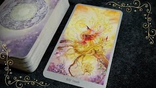 Shadowscapes Tarot || A Whimsical Fantasy Tarot Deck Flipthrough [CC]