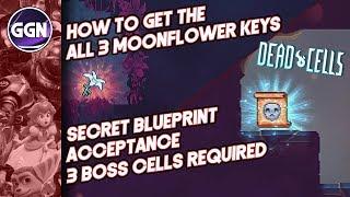 How to get the 3 Moonflower Keys and get the Acceptance Mutation | Secret Blueprint | Dead Cells