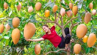 Harvesting Pink Mango - Make Crispy Fried Meat With Mango Goes to market sell - Lý Thị Hoa