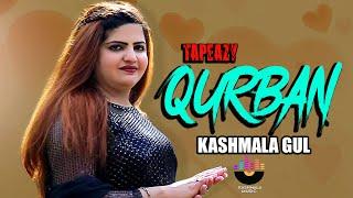 Heart Touching Sad Songs | Tapeazy Qurban | Kashmala Gul قربان ټپیزې