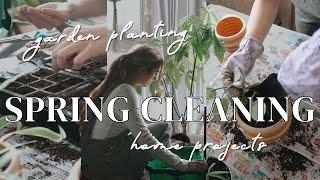 SPRING CLEANING PART 1: Planting Garden Seeds & Deep Cleaning