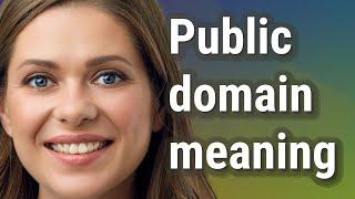 Public domain | meaning of Public domain