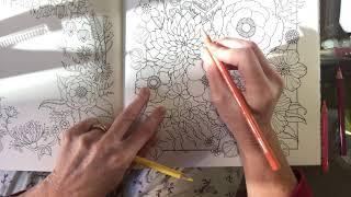 Johanna Basford World of Flowers - colouring petals made easy