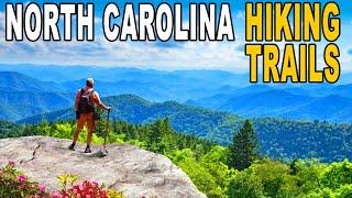 Top 10 Hiking Trails in North Carolina