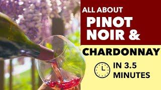 Pinot Noir and Chardonnay - All About These Cool Climate Wine Grapes