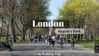 LONDON UK  - 4K  Walking Tour in The Regent's Park