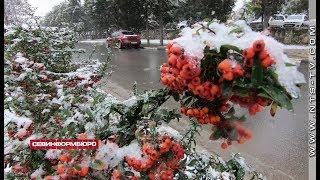 В Севастополь пришла зима