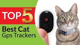 Top 5 Best Cat GPS Trackers of 2024 [We Tested & Reviewed]