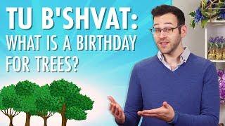 Tu B’Shvat: What Is A Birthday For Trees?