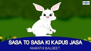 Sasa To Sasa Ki Kapus Jasa - Marathi Balgeet For Kids