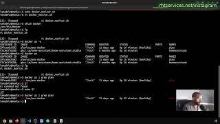 Create A Shell Script to Monitor Docker Containers