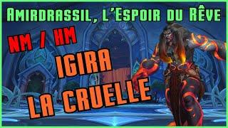 IGIRA LA CRUELLE - Héroïque/Normal - Guide et Strat Amirdrassil ! 10.2 WOW