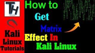 How To Get Matrix Effect in Terminal On Kali Linux || Matrix Effect on Kali Linux
