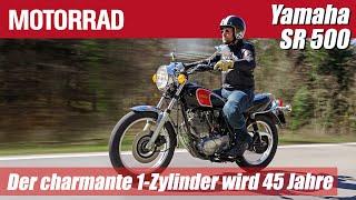 Yamaha SR 500 | Der charmante 1-Zylinder wird 45 Jahre