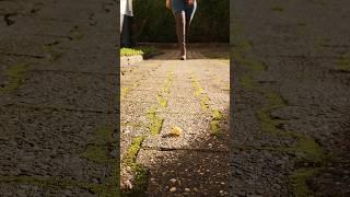 Crushing empty snail shell with Stiletto High Heels Boots #crush #legs #foot #shorts #shoes #asmr