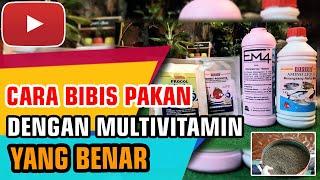 Cara bibis pakan ikan yang benar - dengan multivitamin tambahan